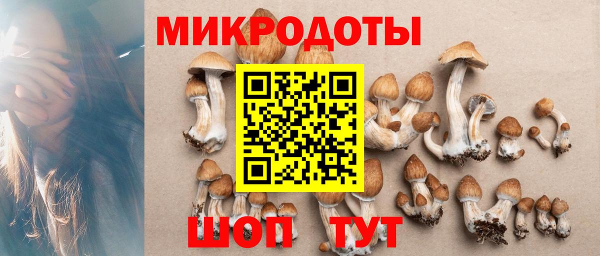 Бор  Галлюциногенные грибы MAGIC MUSHROOMS  купить наркоту  Вход с VPN 